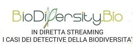 diretta streaming