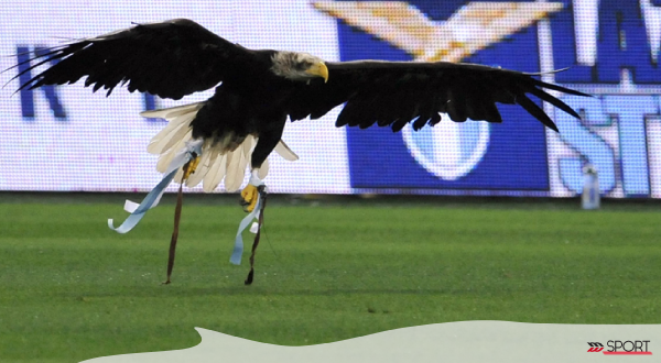 Cataldi: “Non ho abbandonato la Lazio, ma non avevo spazio”