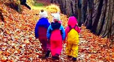 Il Bosco dei piccoli: l’asilo all’aria aperta dove i bambini imparano a essere felici