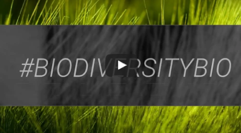 #biodiversitybio: testimonianze attive dal territorio.