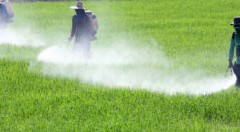 Fertilizzanti, la nuova soluzione per il rilascio controllato nel terreno a base di Urea