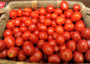 Le prospettive del Pomodoro da industria in Toscana. La filiera si interroga