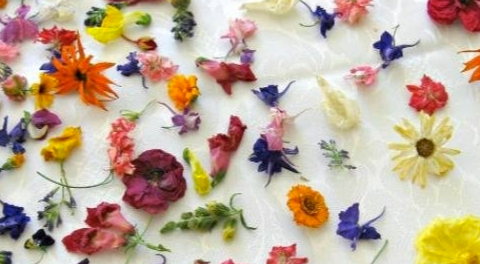 Fiori commestibili, ecco cosa succede se aggiungi i petali a questi cibi