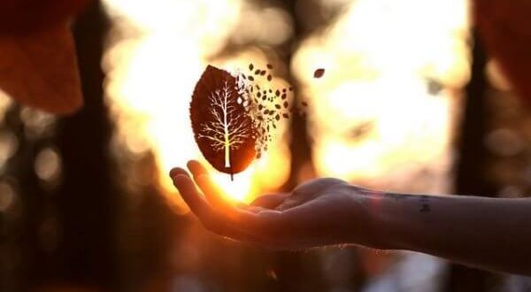 Ispiriamo fiducia quando le nostre azioni corrispondono alle nostre parole