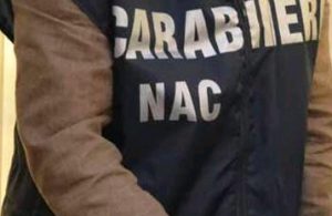 Sequestri di falsi ‘bio’ e Dop