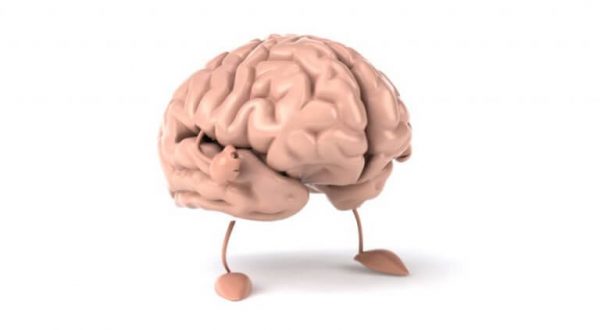 Perdersi nella natura porta incredibili benefici al cervello