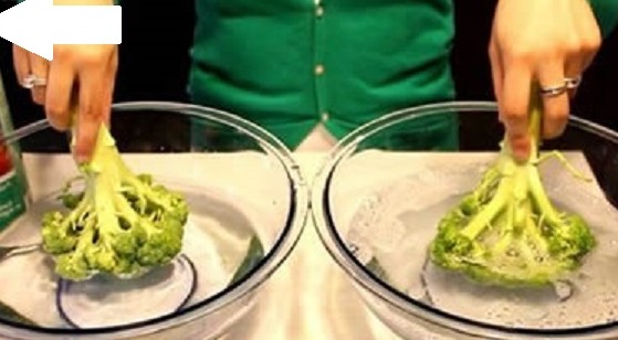 Il potere dei broccoli contro i tumori