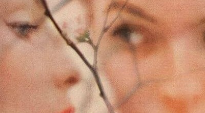 Demoliamo i commenti in apparenza “inoffensivi”