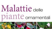 Malattie delle piante ornamentali. Come diagnosticarle e curarle