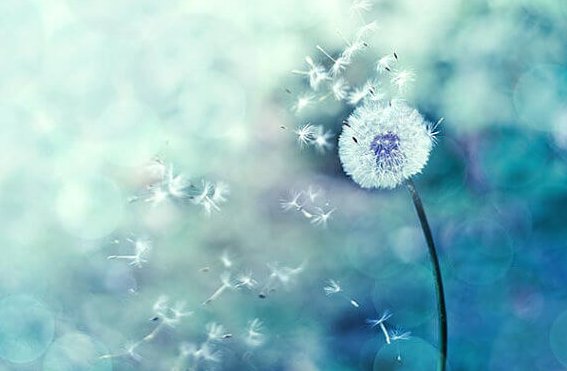 La vita non è fatta di premi e punizioni, ma di conseguenze