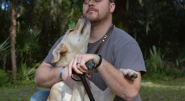 L’empatia dei cani: un potere curativo