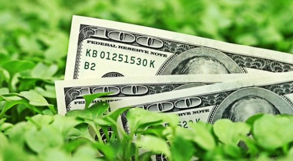 Ecco come fare una gestione finanziaria personale