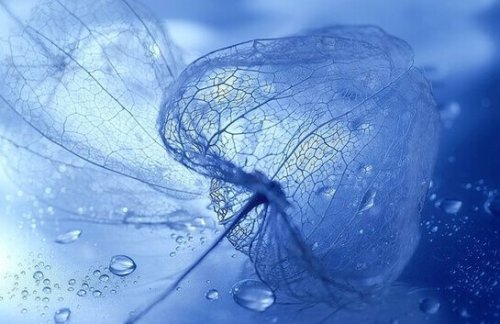 Colore antistress: la tonalità della calma