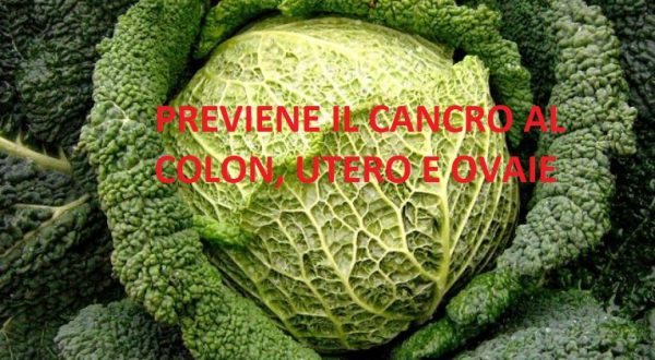 Mangiare cavolo fa bene alla salute