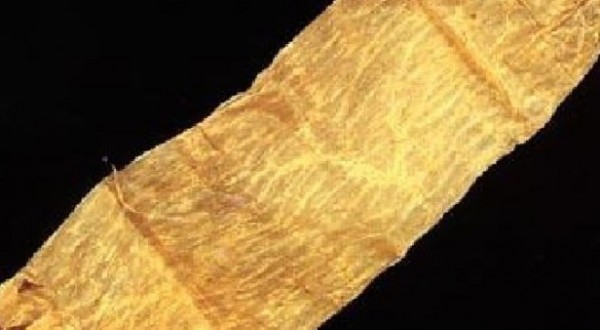 Storia della Contraccezione