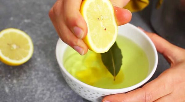 Alloro, ecco perché è uno dei rimedi più efficaci che le nonne consigliano