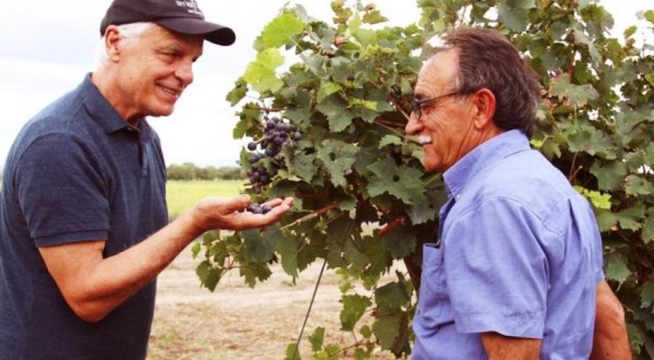 Michele Placido e la passione per il vino