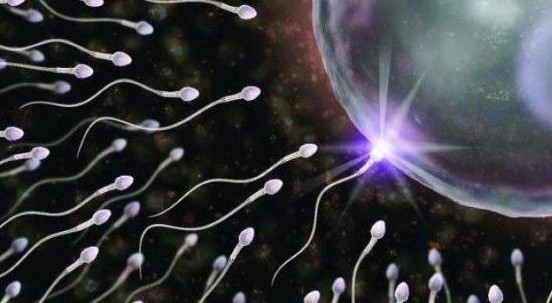 Ecofoodfertility: quanto influisce l’impatto degli inquinanti ambientali sulla salute degli spermatozoi