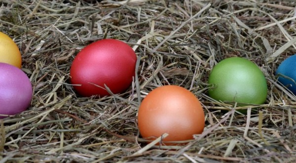 Curiosità sull’uovo di cioccolato