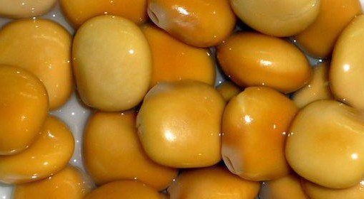 Diabete, i lupini sono meglio dei farmaci: controllano i livelli di glucosio nel sangue