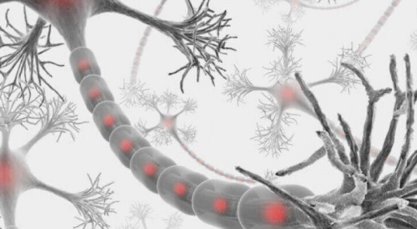 Sclerosi multipla: sintomi e trattamento