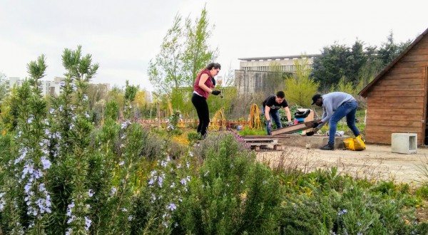A Potenza “Vip”: volontari in piazza con gli orti urbani