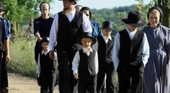 VIVONO PIÙ A LUNGO E SI AMMALANO MENO: È QUESTO INGREDIENTE NATURALE IL SEGRETO DEGLI AMISH