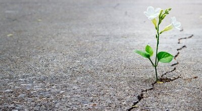 Superare un ricordo traumatico