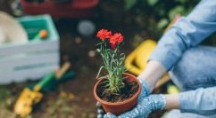 Come prendersi cura delle piante in 7 consigli: scarica l’ebook gratuito Care Like a Mother