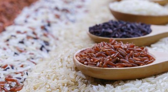 Il riso sta diventando sempre meno nutriente: è colpa della CO2