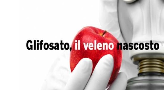 Dai crackers al miele: tutto ciò che mangiamo potrebbe contenere tracce di glifosato