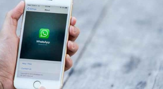 Nelle prossime settimane arriva in Italia WhatsApp Business per iPhone