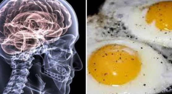 Ecco cosa succede al cervello se mangi un uovo al giorno per sei mesi