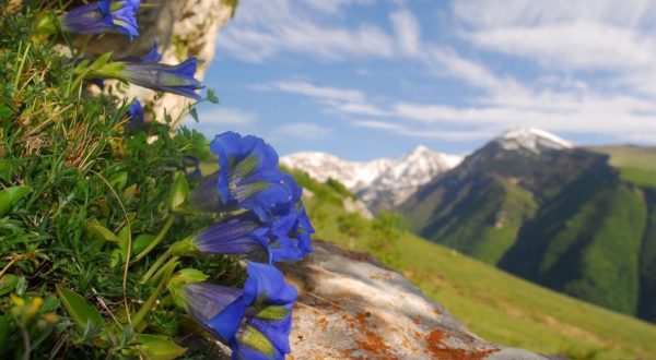 Continua il Festival del benessere