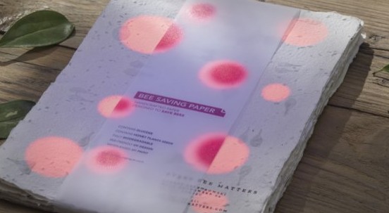 La carta che salva le api: l’invenzione geniale per nutrire gli impollinatori affamati in tutto il mondo