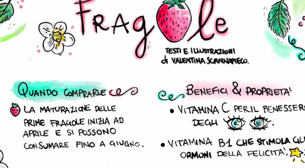 Gli ingredienti illustrati: fragole, usi e proprietà ? Prima parte