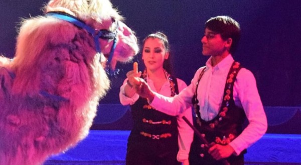 Tour nel siracusano del Circo Lidia Togni