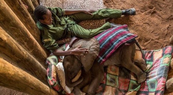 Il Pianeta è in crisi: le immagini scioccanti dal nuovo collettivo internazionale