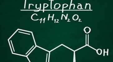 Triptofano e serotonina: aumentare il benessere