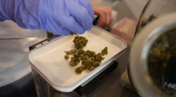 Cannabis terapeutica, la svolta: prescrivibile per ogni tipo di dolore