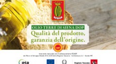 Qualità del prodotto, garanzia dell’origine. Alla scoperta dell’Olio Terre di Siena Dop