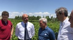 Dalla Basilicata la ‘carta del nocciolo’. A tre anni dall’accordo Regione-Ferrero