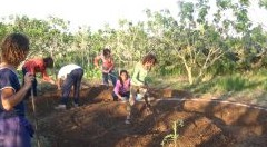 Giovani agricoltori. Il nuovo bando da 34 milioni della Regione Emilia Romagna