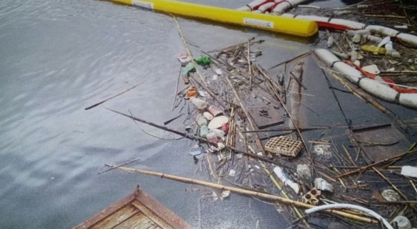 Sul Po barriere per raccogliere rifiuti