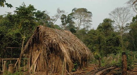 Nuovo video dell’ultimo sopravvissuto di una tribù amazzonica