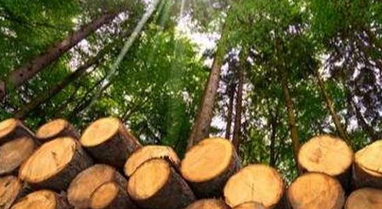 Scoperti enzimi che trasformano i rifiuti in bioplastica e carburante (senza usare il petrolio)