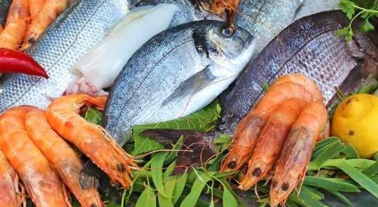 Adriatico, stop al pesce fresco: le zone interessate dal fermo biologico. Attenzione alle frodi