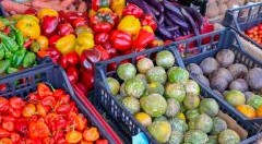 Gli italiani scelgono la salute e la sostenibilità