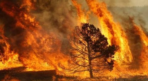 Netto calo di incendi in Italia