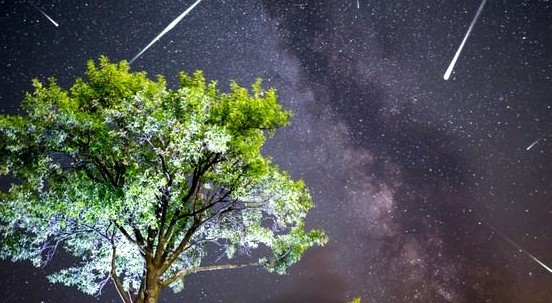 Perseidi: in arrivo le stelle cadenti di agosto. Tutto quello che c’è da sapere sulle ‘Lacrime di San Lorenzo’
